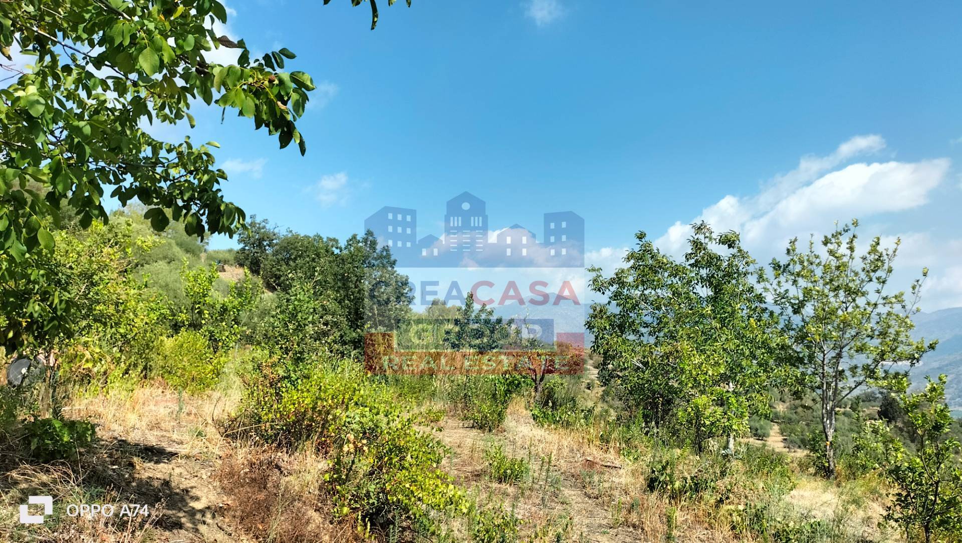 Rustico con terreno in vendita in vendita a Calatabiano