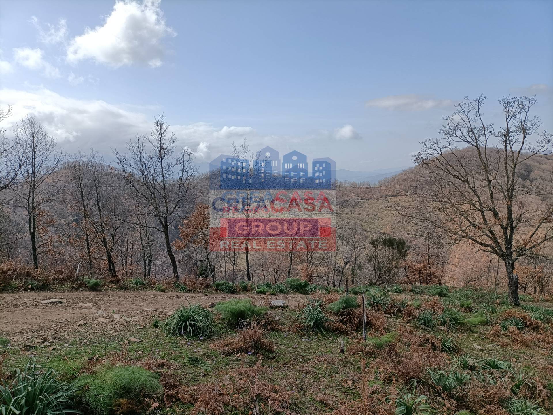 Rustico con Terreno in vendita a Roccella Valdemone