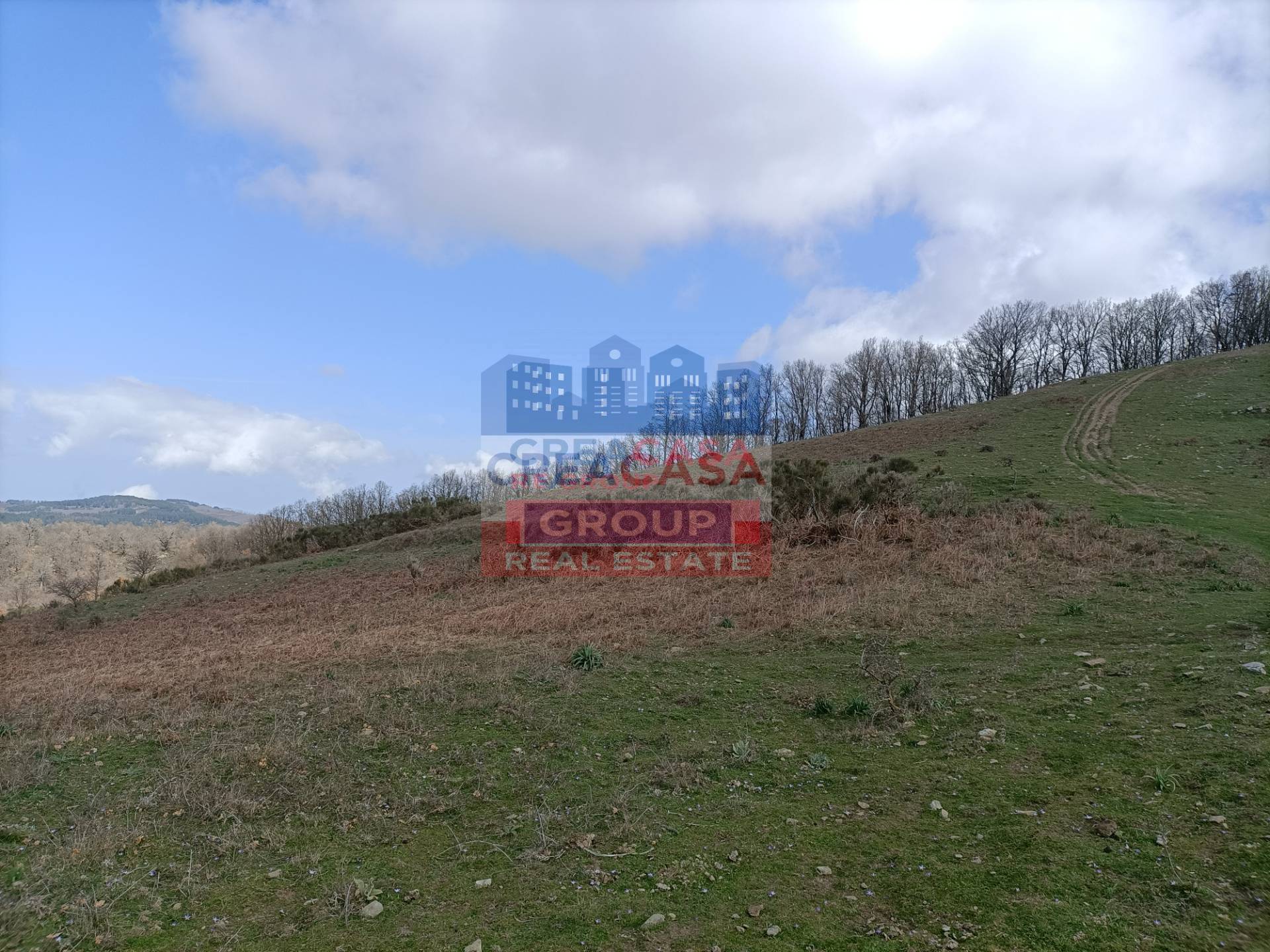 Rustico con Terreno in vendita a Roccella Valdemone