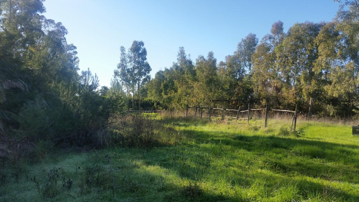 Terreno Edificabile in vendita a Pisa