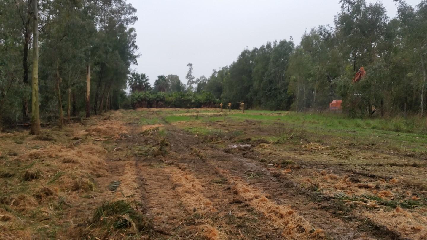 Terreno Edificabile in vendita a Pisa