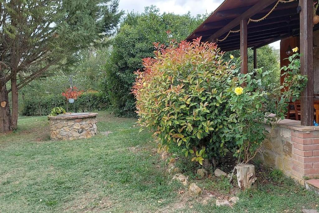 Rustico con giardino a Volterra