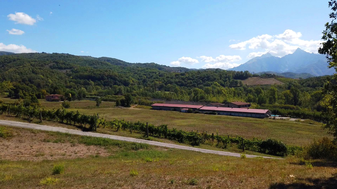 Attivit� commerciale in vendita a Fivizzano