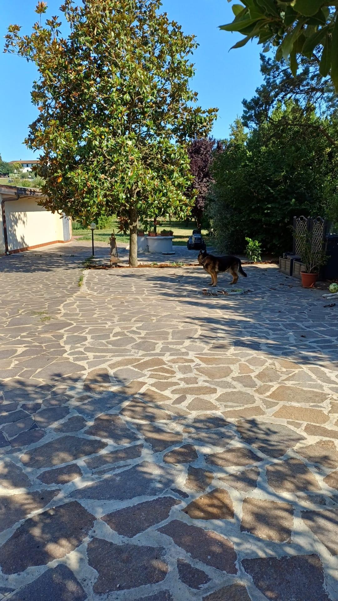 Villa con giardino a San Miniato