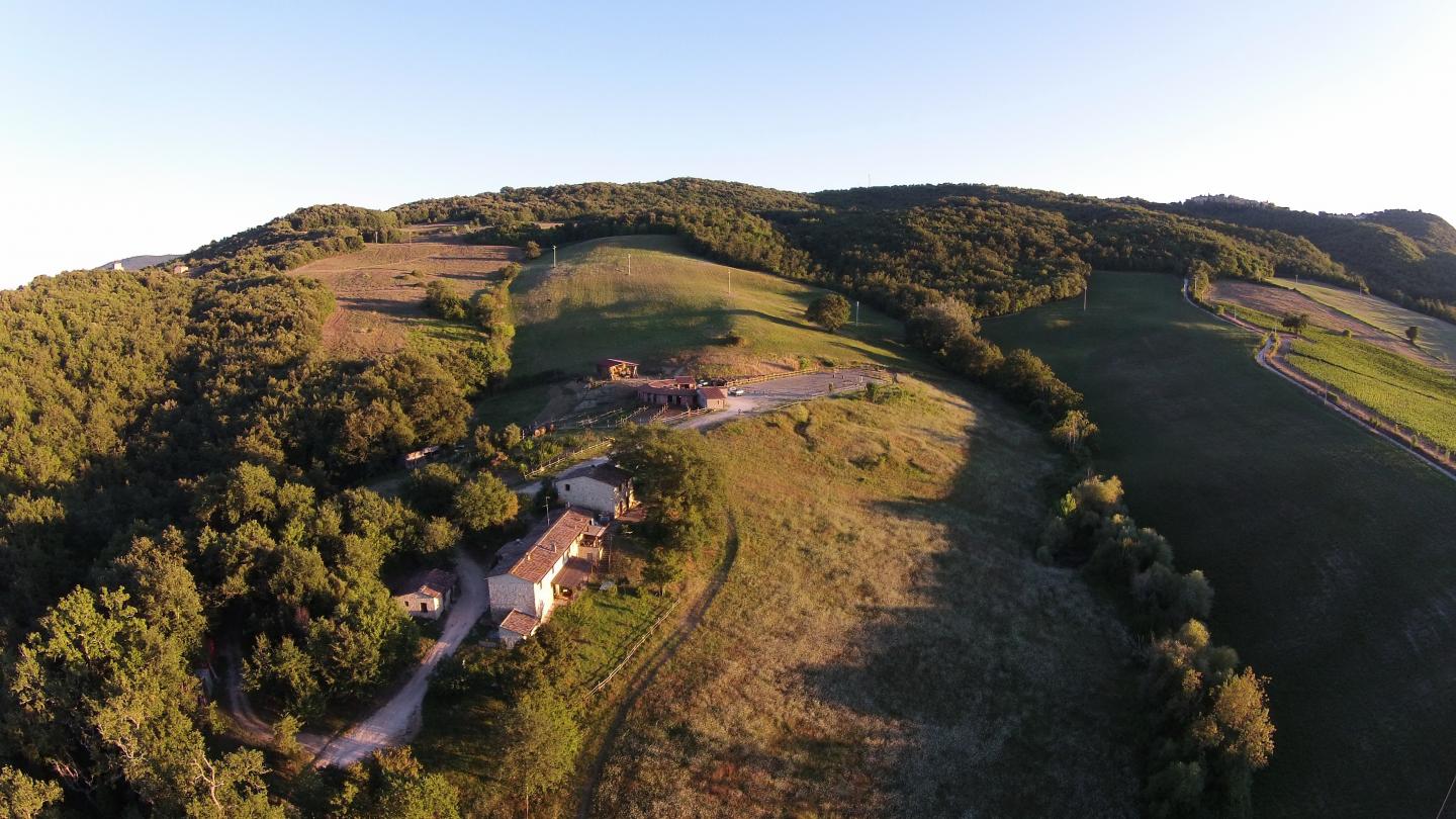 Rustico con giardino a Casole d'Elsa