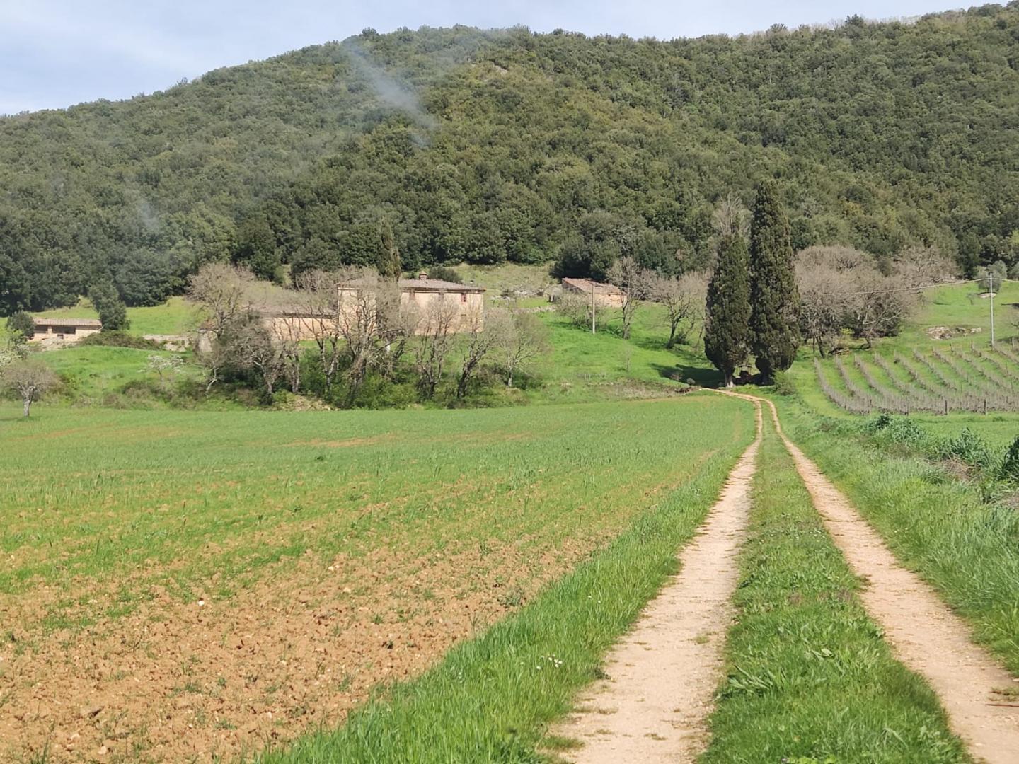 Rustico con giardino a Casole d'Elsa