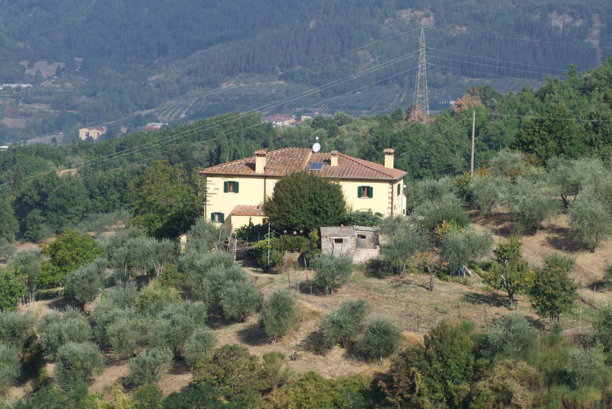 Rustico con giardino, Rufina falgano
