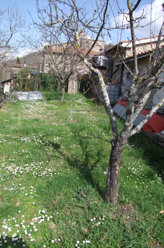 Rustico con giardino, Dicomano frascole