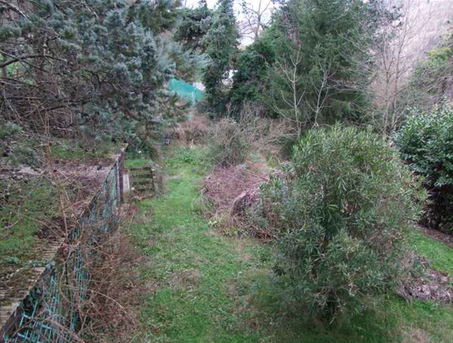 immagine annuncio 5 di 6