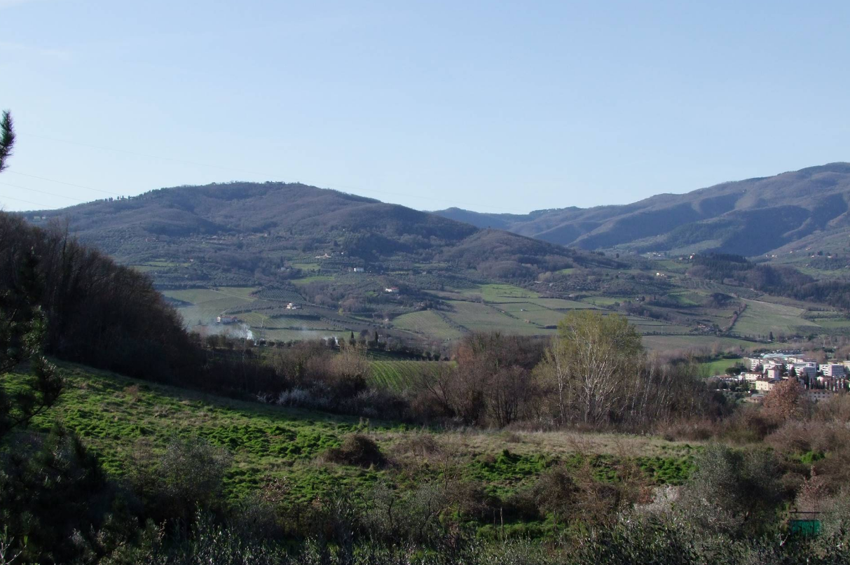 immagine annuncio 3 di 6