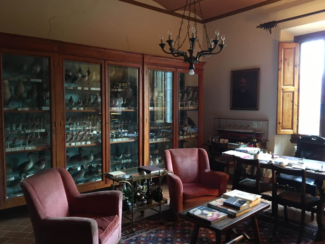 immagine annuncio 3 di 6