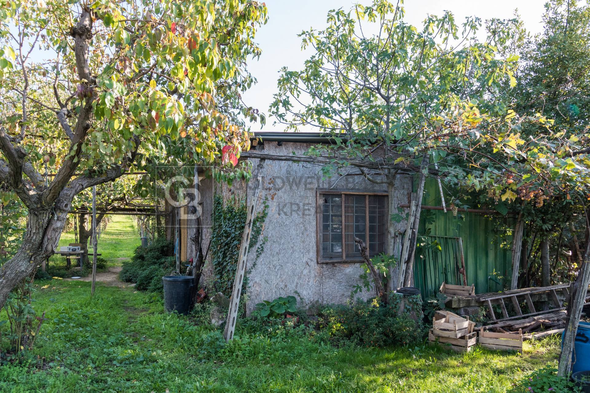 Terreno agricolo in vendita a Grottaferrata