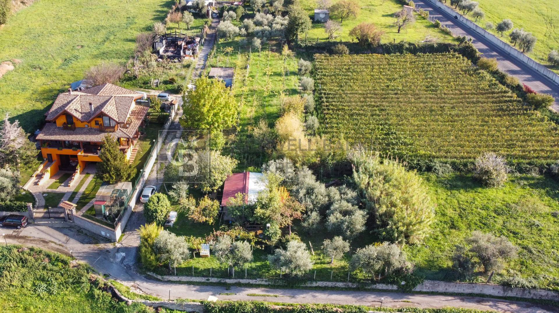 Terreno agricolo in vendita a Grottaferrata