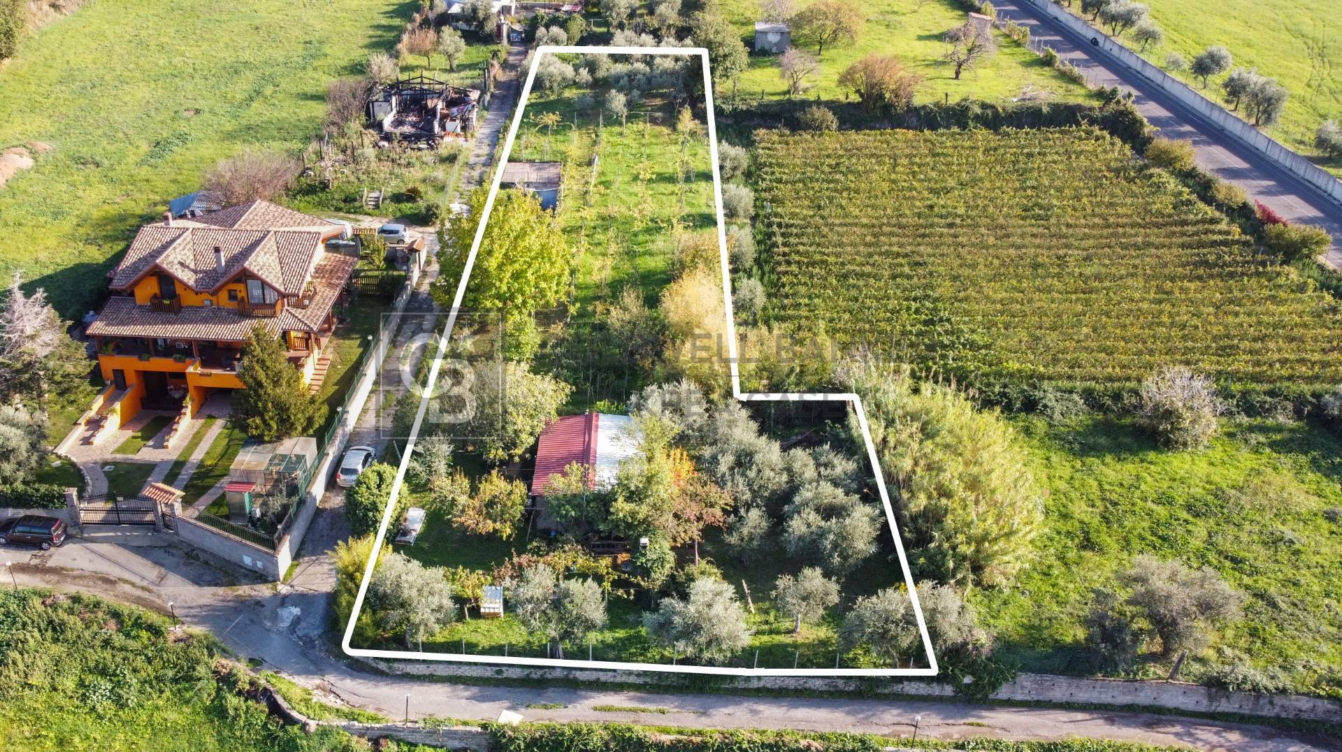 Terreno agricolo in vendita a Grottaferrata