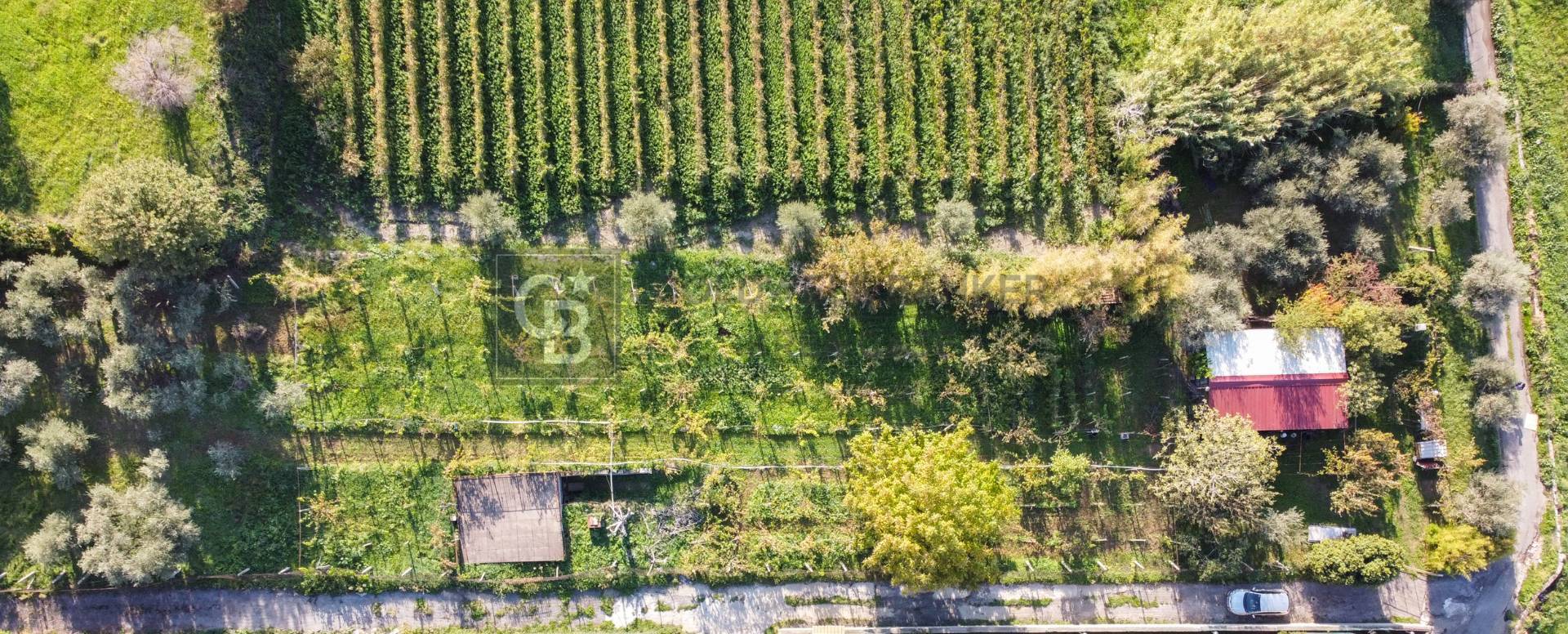 Terreno agricolo in vendita a Grottaferrata