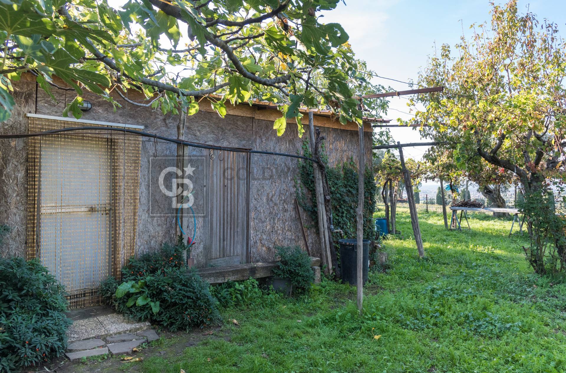 Terreno agricolo in vendita a Grottaferrata