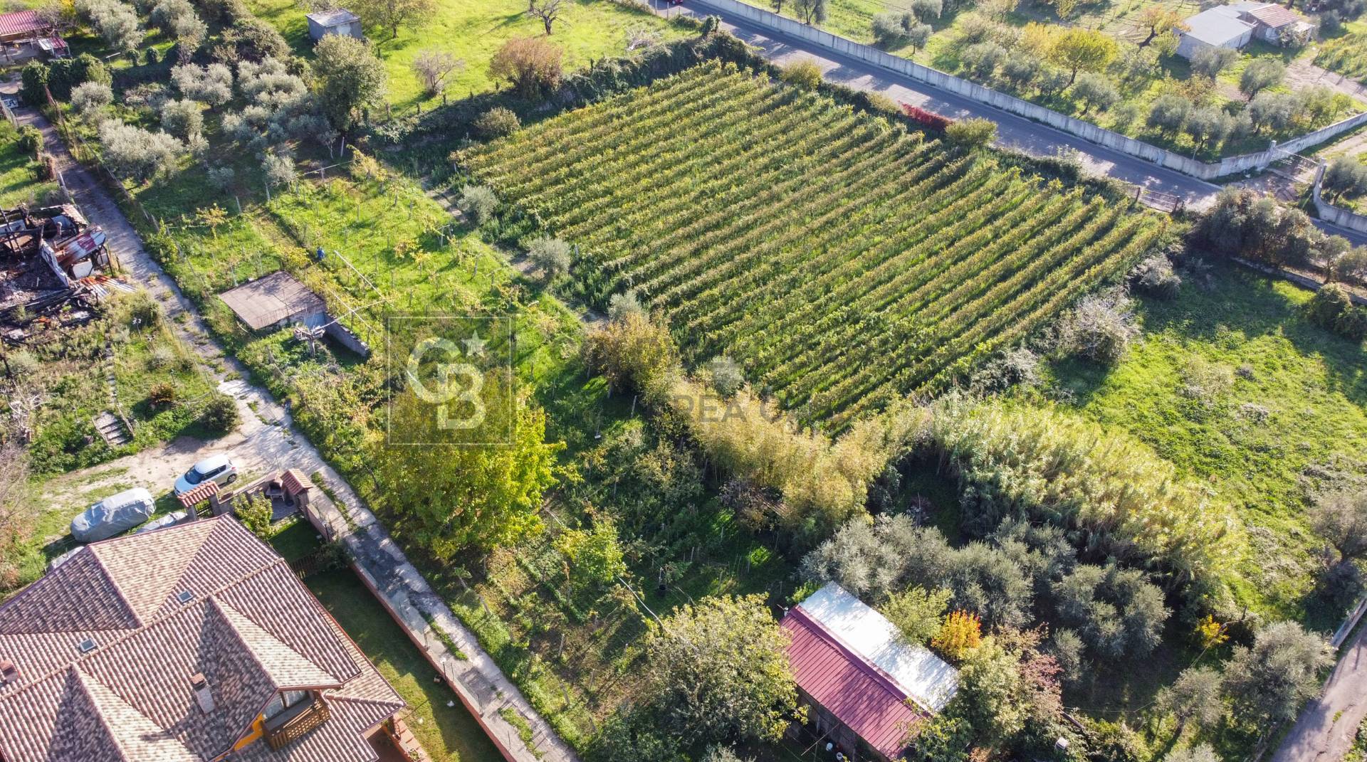 Terreno agricolo in vendita a Grottaferrata