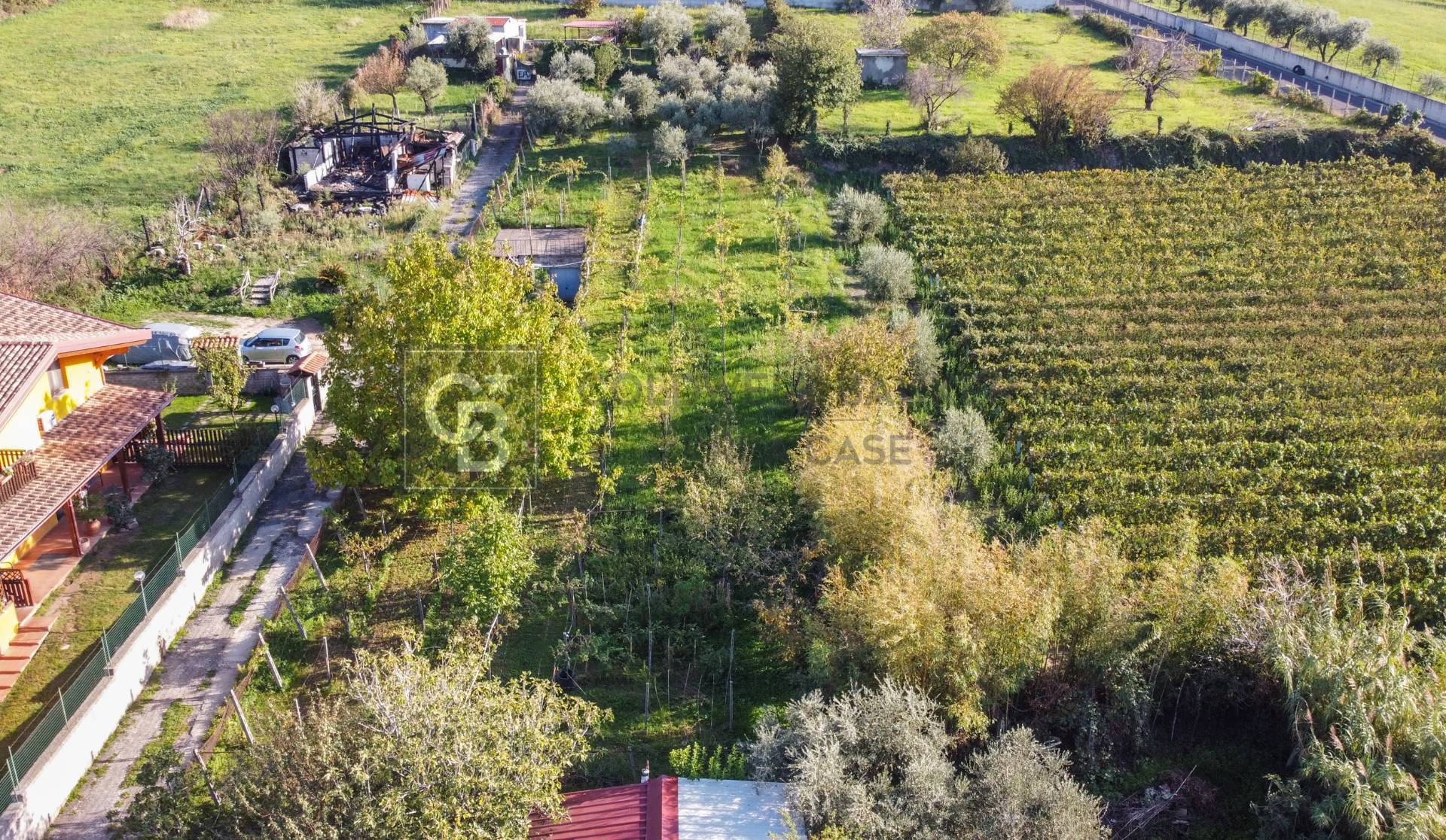 Terreno agricolo in vendita a Grottaferrata