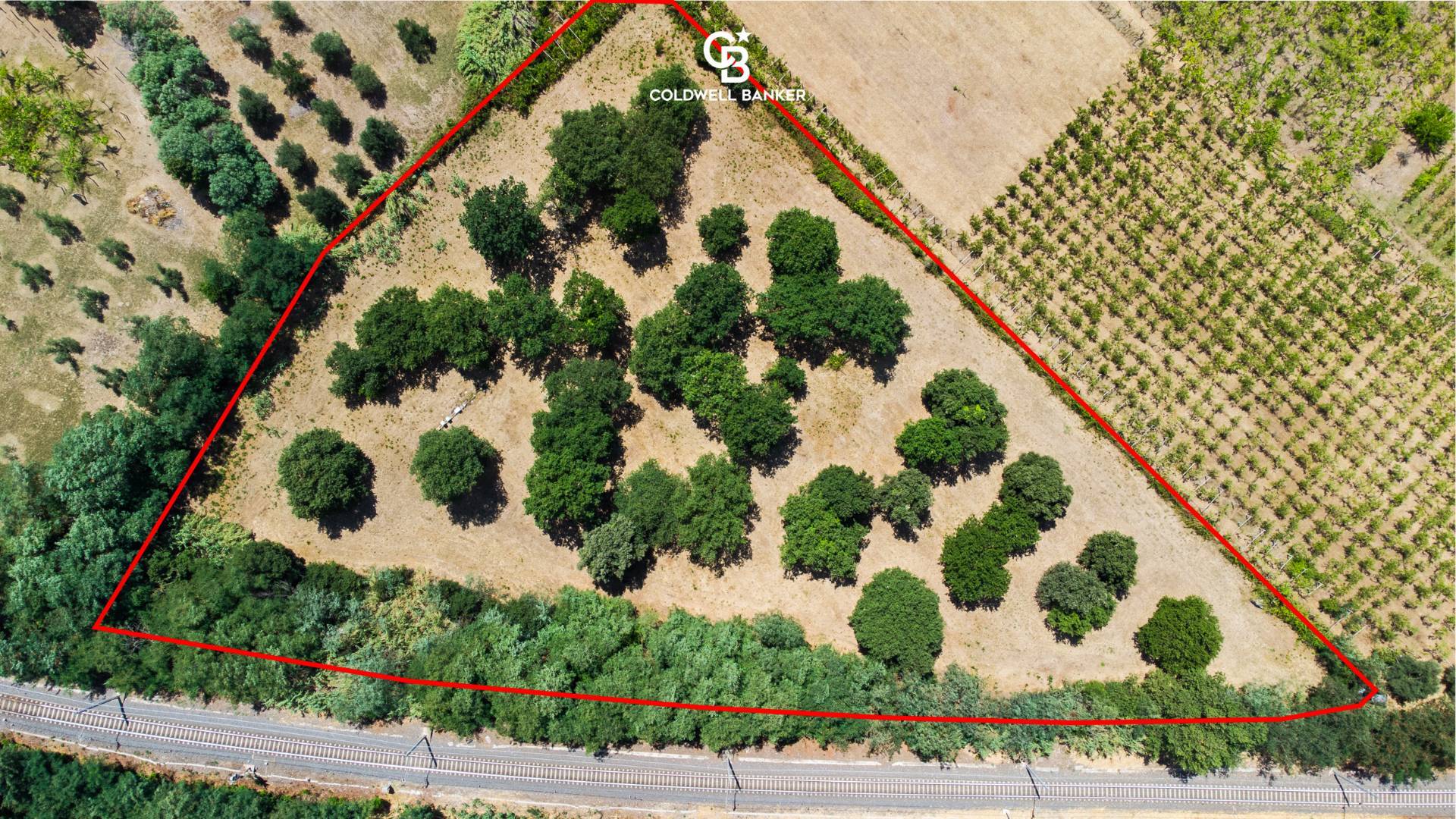 Terreno agricolo in vendita a Lanuvio