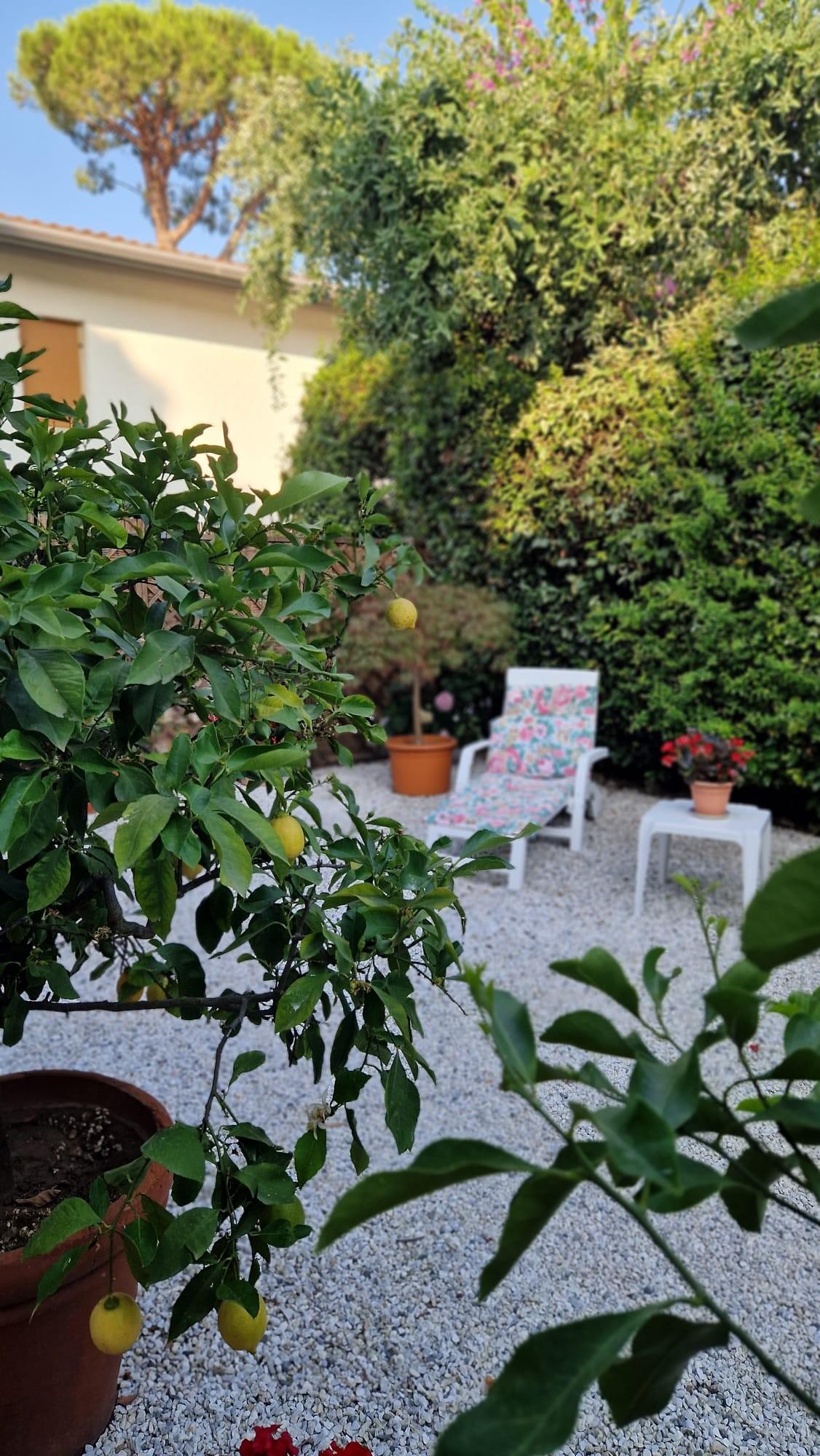 Villa Bifamiliare arredata in affitto, Pietrasanta tonfano