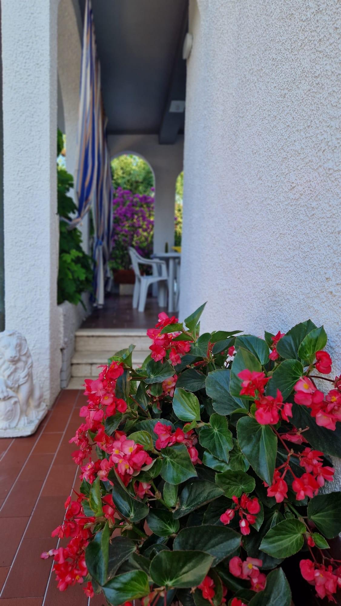 Villa Bifamiliare arredata in affitto, Pietrasanta tonfano