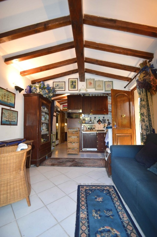 Casa indipendente in vendita, Pietrasanta fiumetto