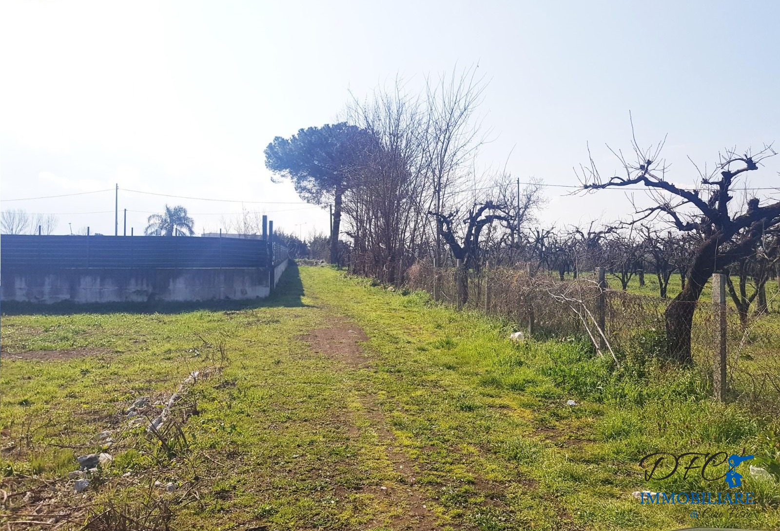 Terreno in vendita a Acerra