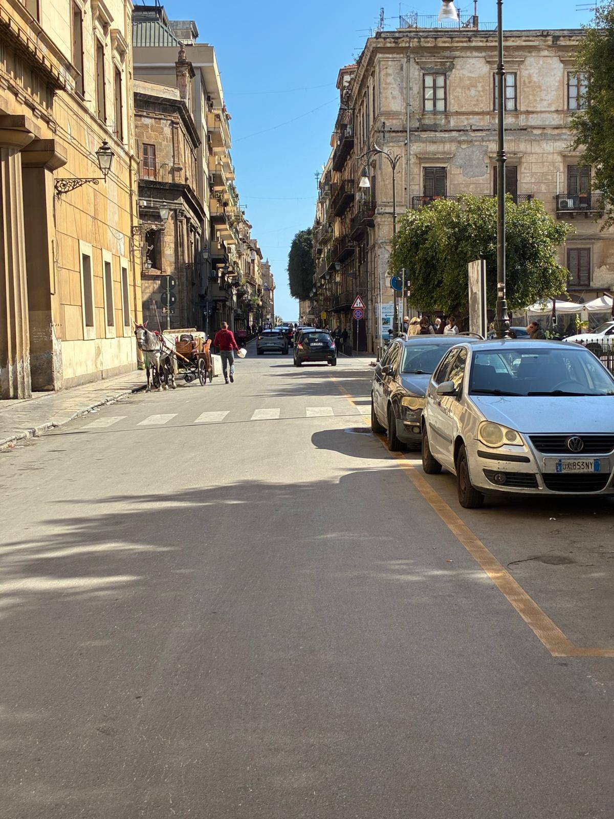 Attivit commerciale in affitto a Palermo, Centro storico