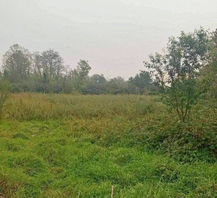 Terreno Agricolo in vendita a Cassano d'Adda