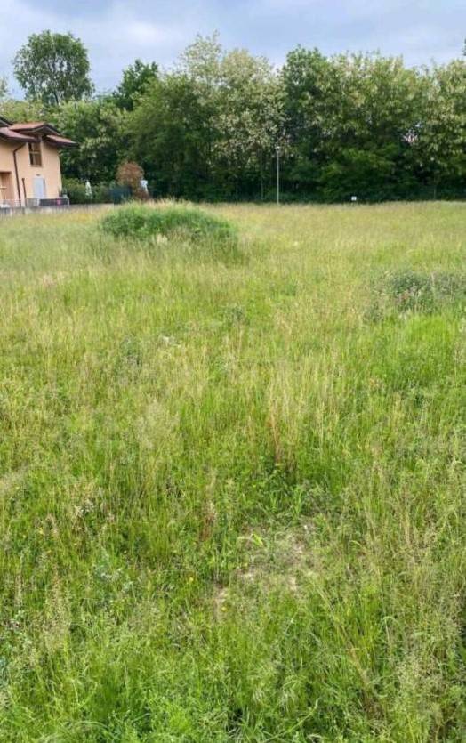 Terreno edificabile in vendita a Terno d'Isola