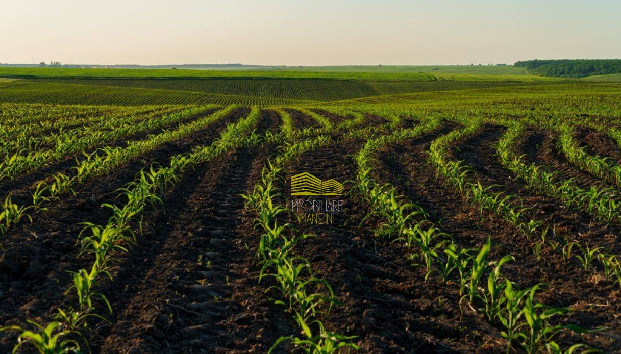 Terreno Agricolo in vendita a Trezzo sull'Adda