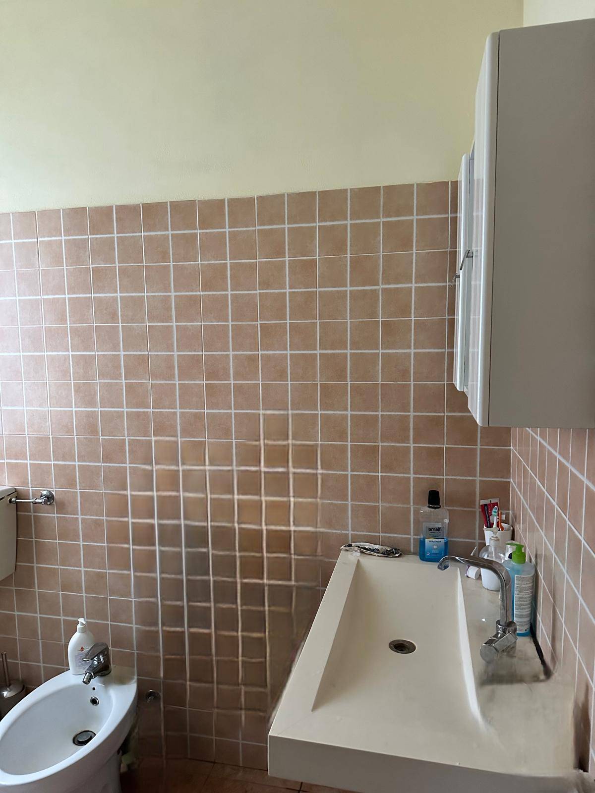 Commerciale Altro in vendita a Portomaggiore, Ripapersico