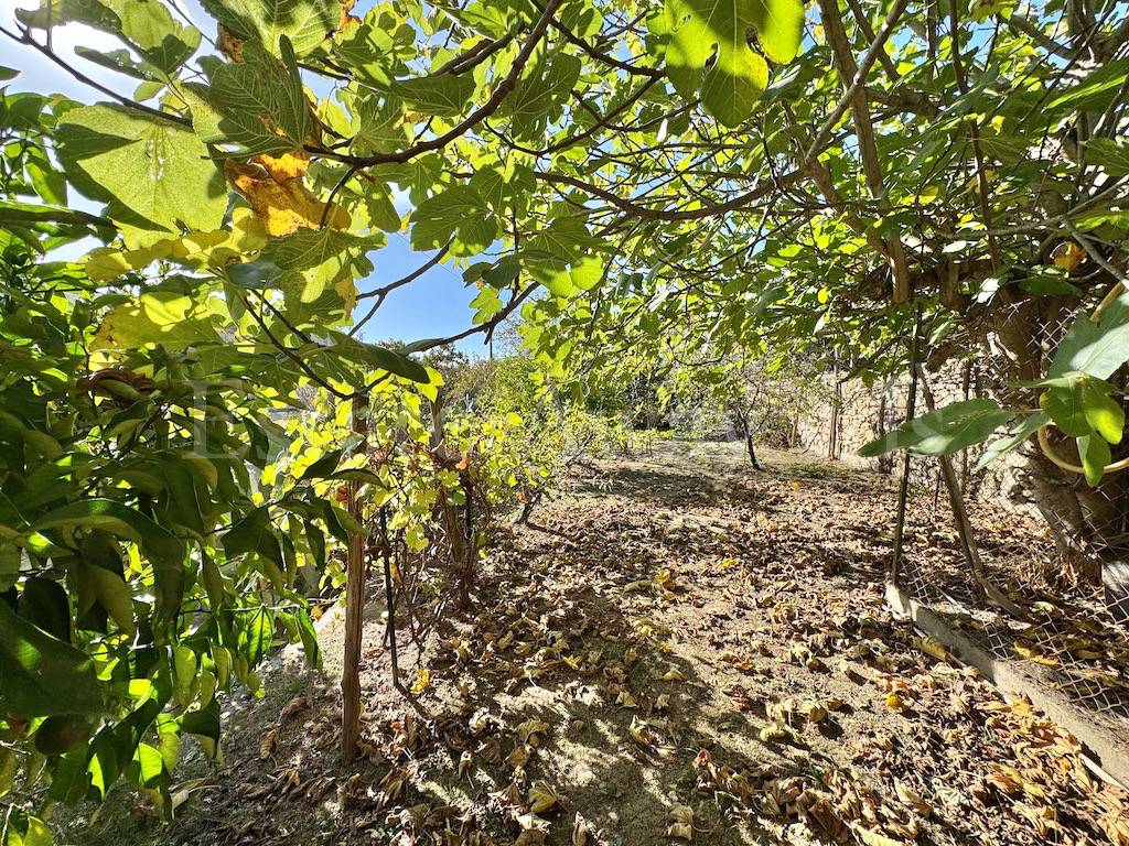 Casa singola in vendita a Vallecrosia, Vallecrosia Alta