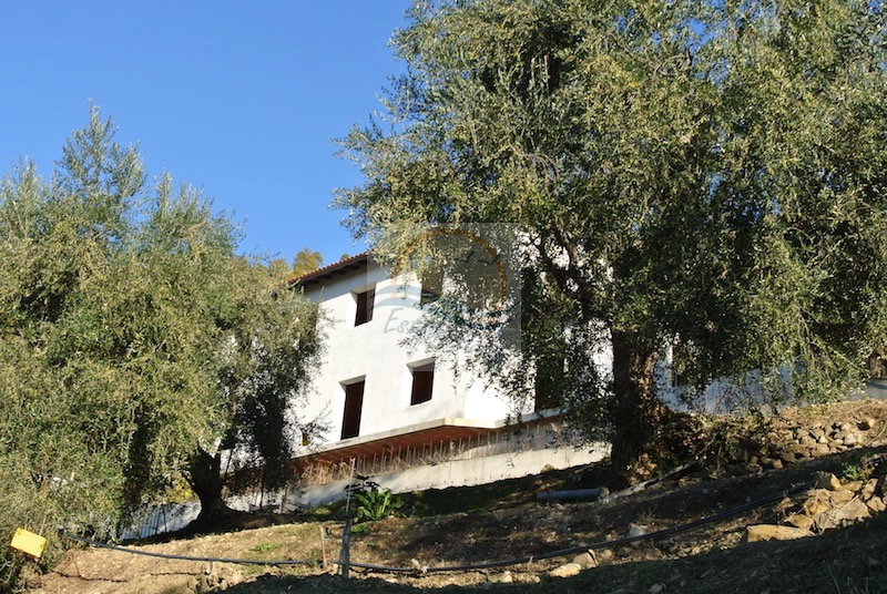 Villa in vendita a Soldano, San Martino