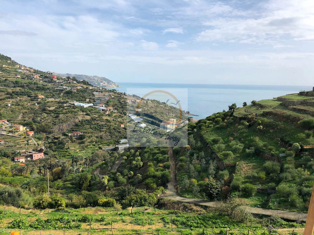 Villa in vendita a Bordighera