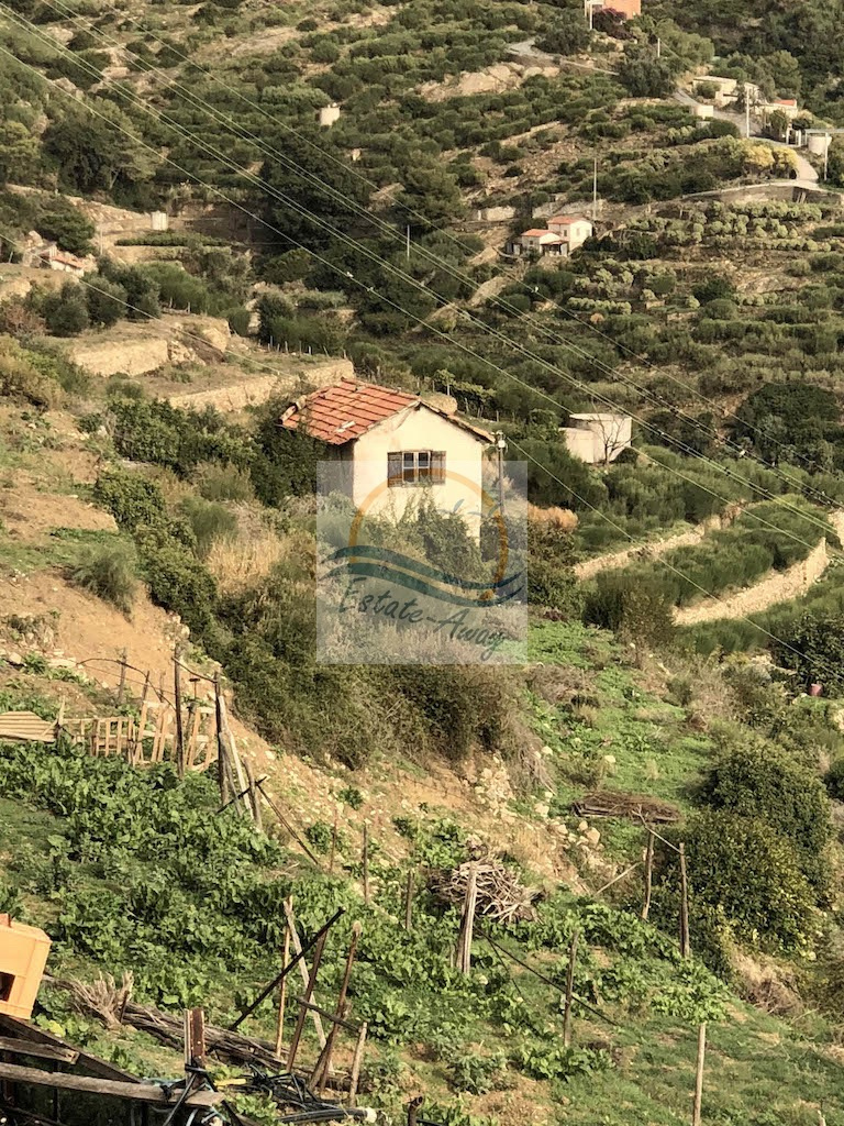 Villa in vendita a Bordighera