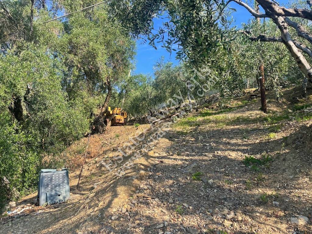 Terreno edificabile in vendita a Cipressa