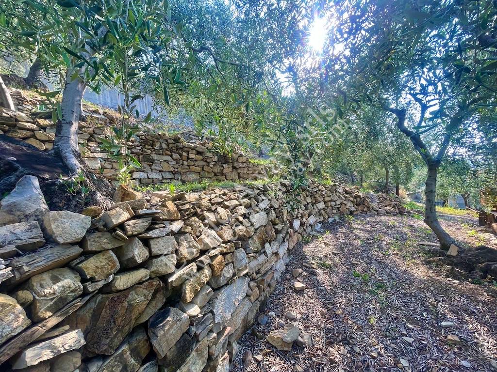 Terreno edificabile in vendita a Cipressa