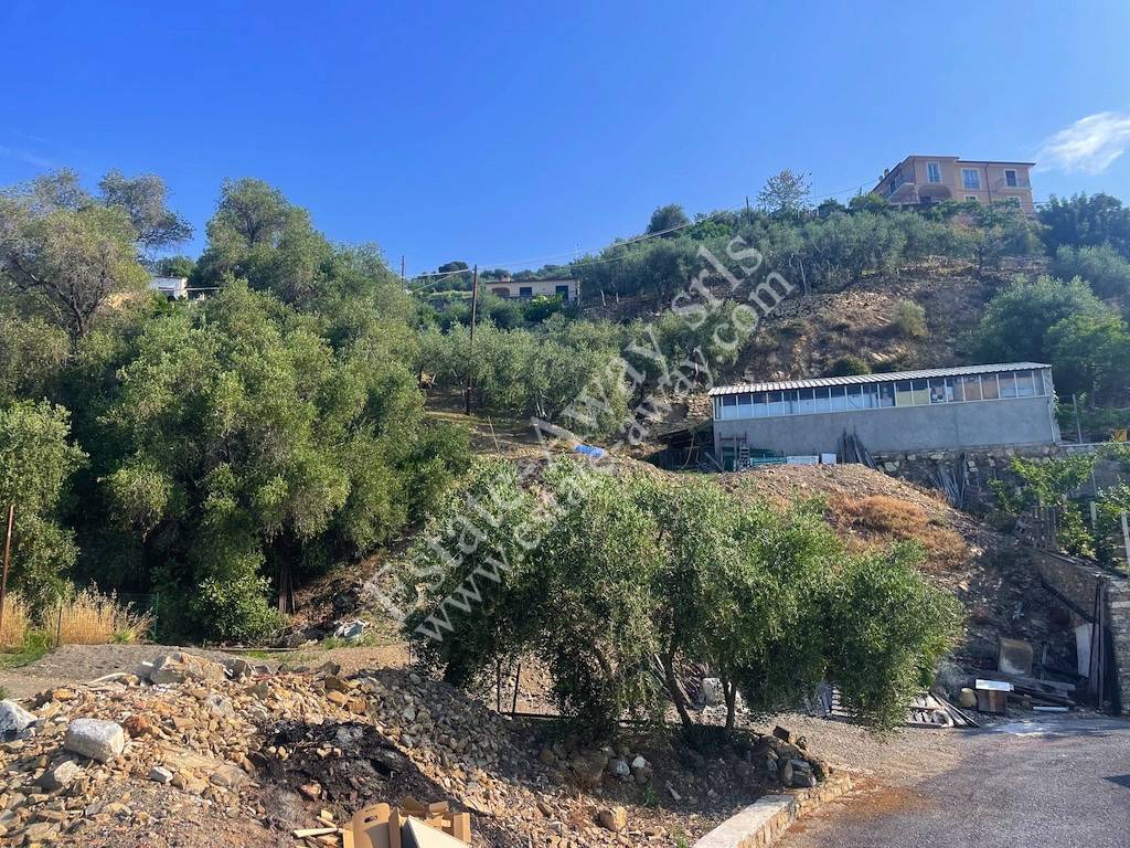 Terreno edificabile in vendita a Cipressa