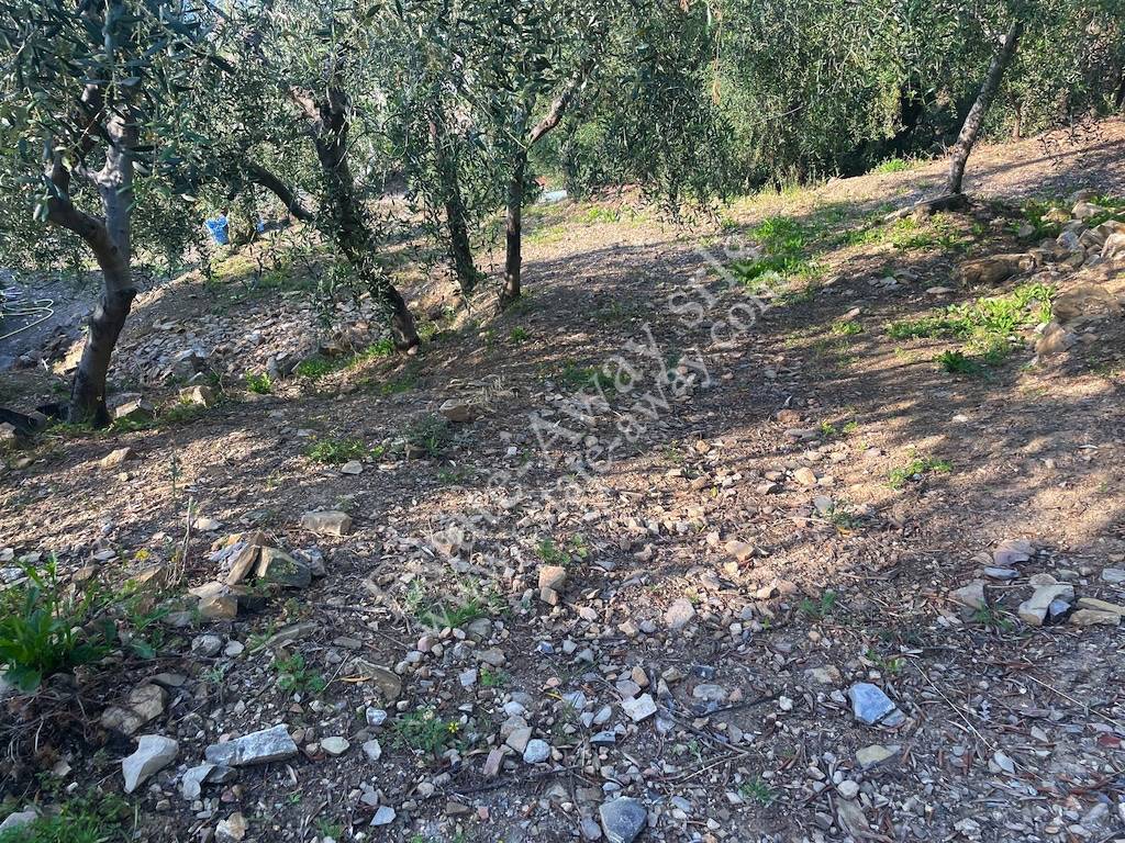 Terreno edificabile in vendita a Cipressa