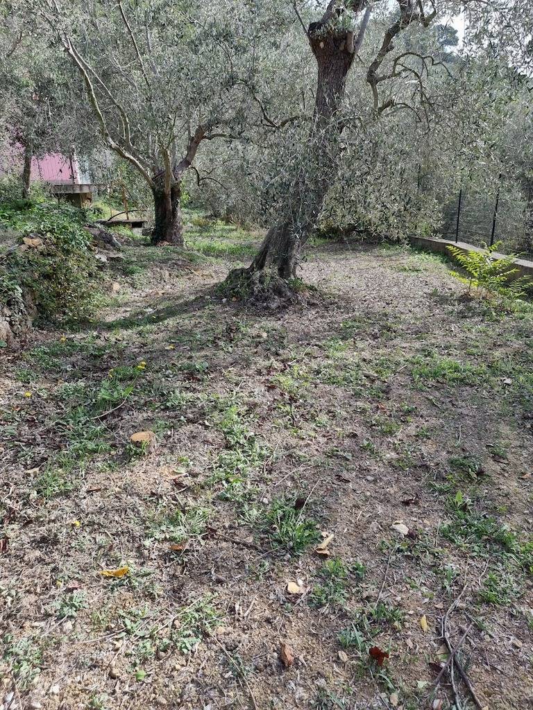 Casa singola in vendita a Imperia