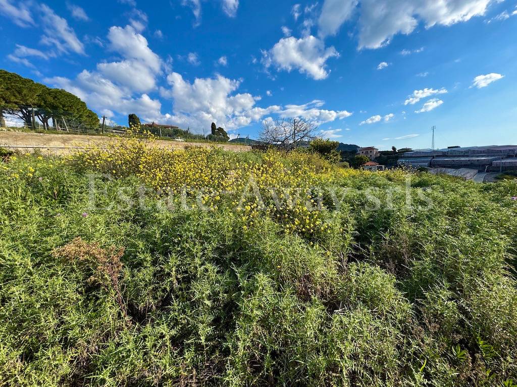 Terreno edificabile in vendita a Bordighera