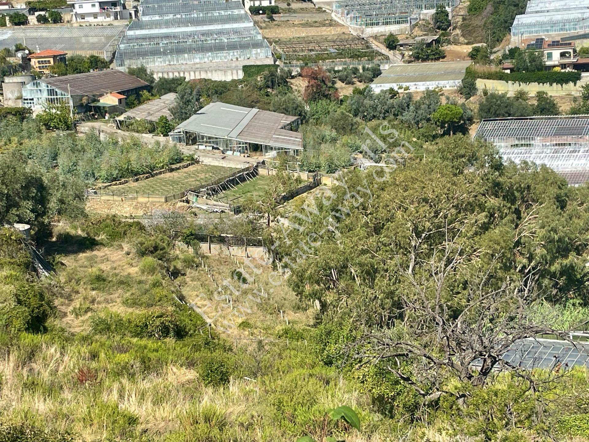 Rustico in vendita a Sanremo, Coldirodi