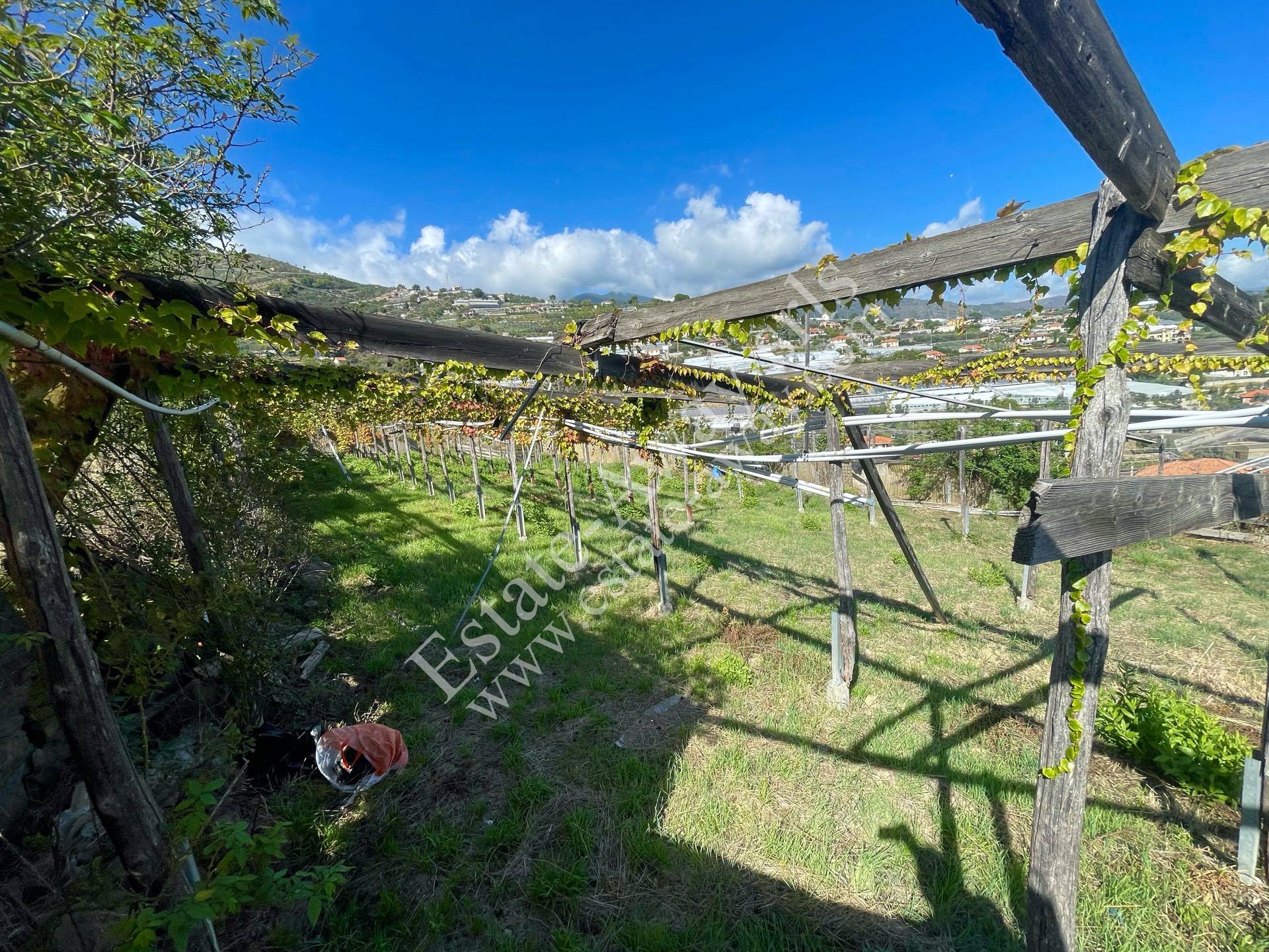 Rustico in vendita a Sanremo, Coldirodi