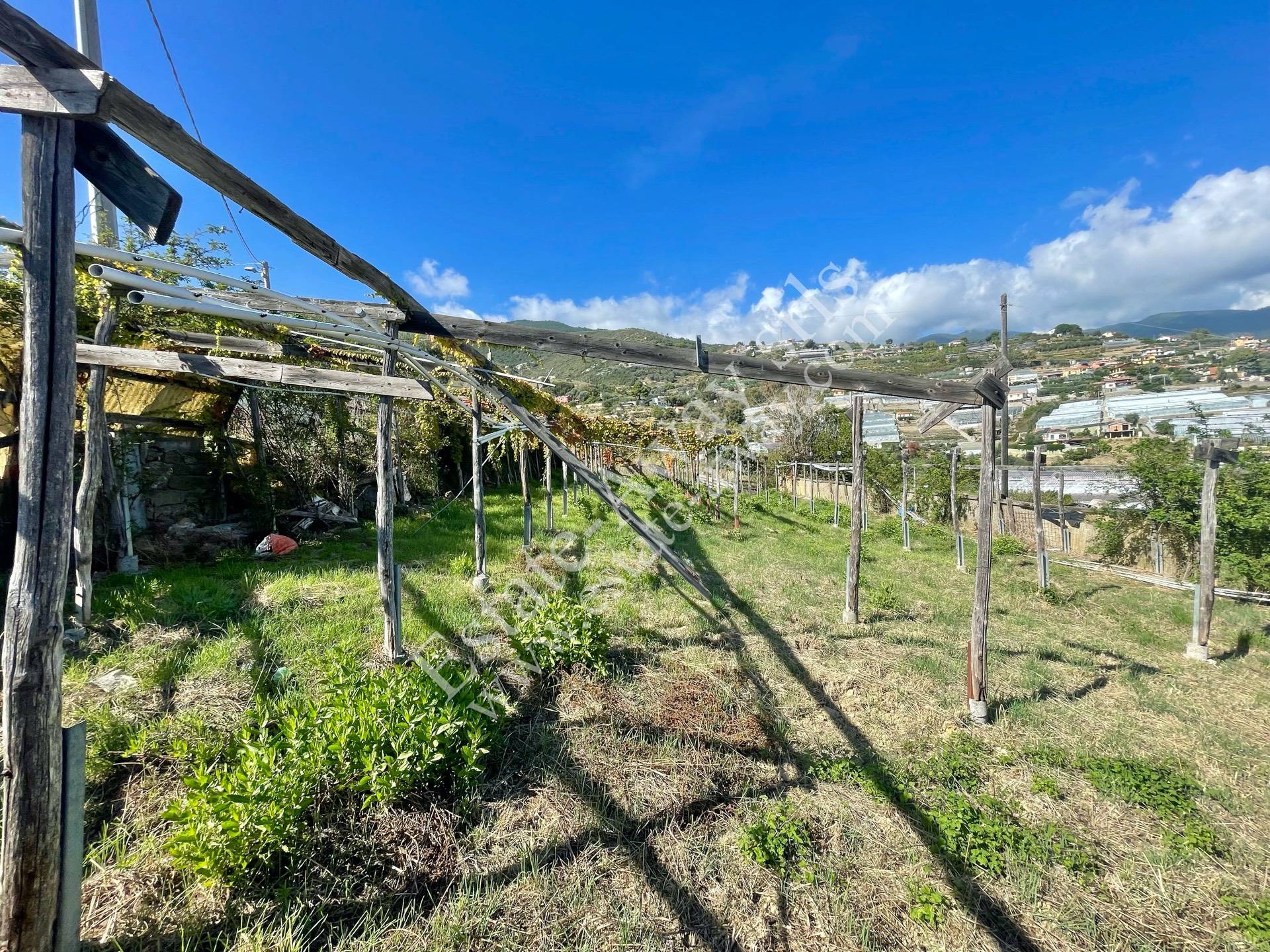 Rustico in vendita a Sanremo, Coldirodi