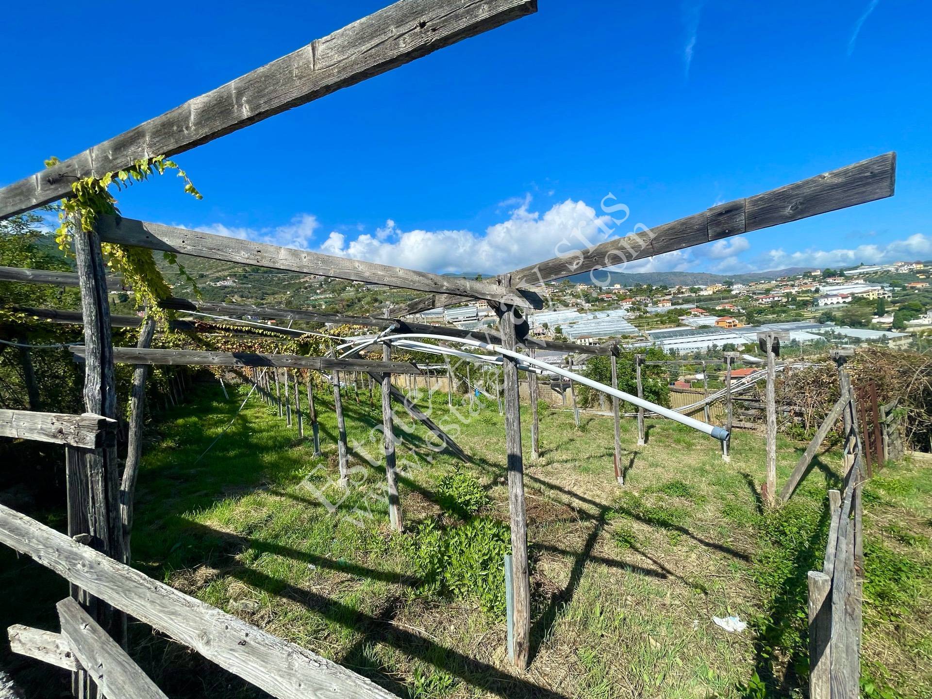 Rustico in vendita a Sanremo, Coldirodi