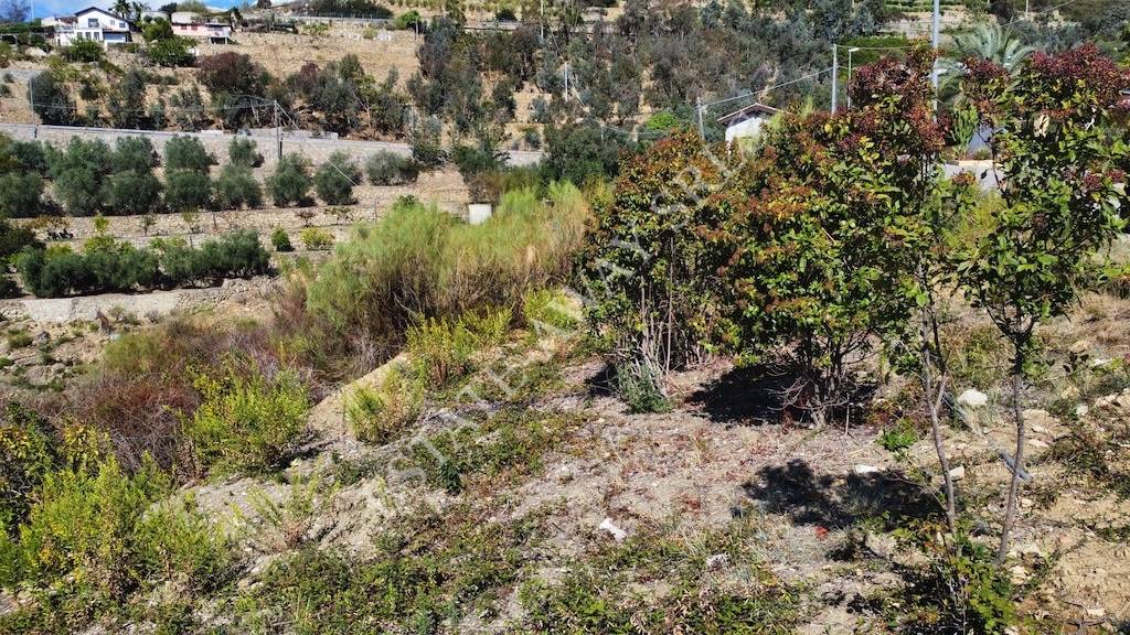Terreno edificabile in vendita a Bordighera