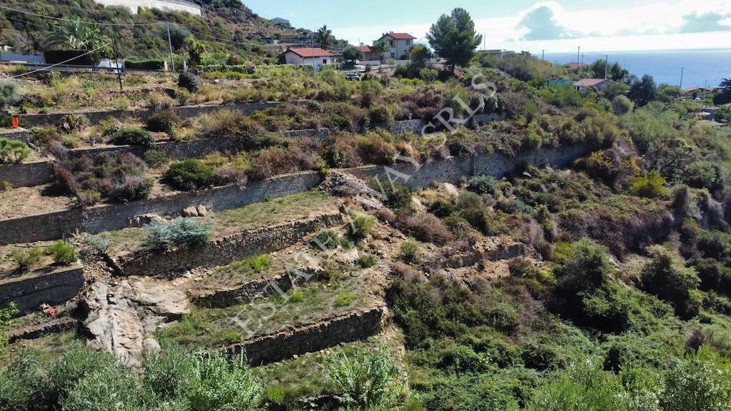 Terreno edificabile in vendita a Bordighera
