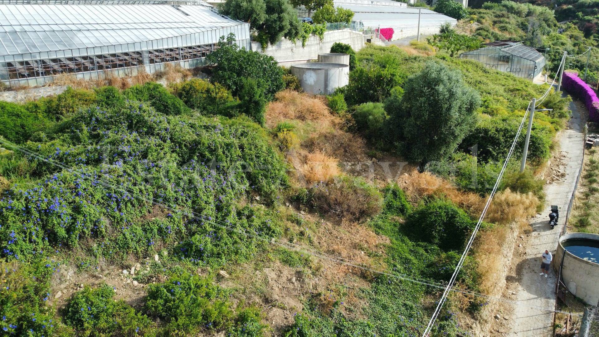 Terreno edificabile in vendita a Ospedaletti