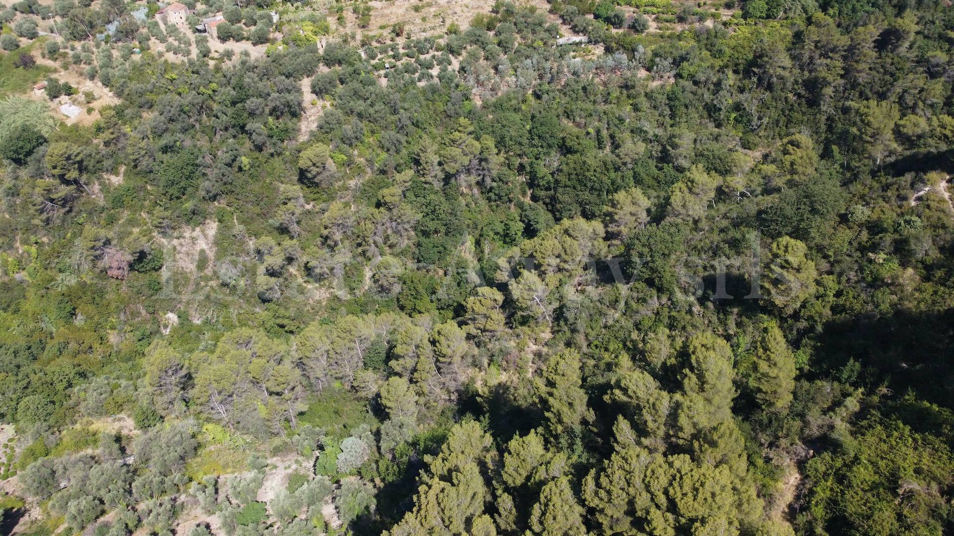 Terreno edificabile in vendita a Seborga
